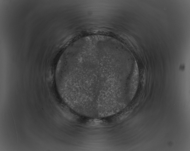 X0000095540607200801041310