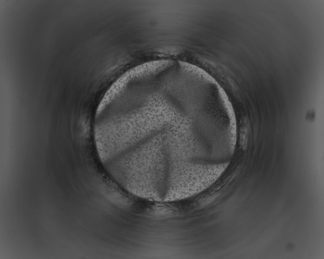 X0000095540608200801041310