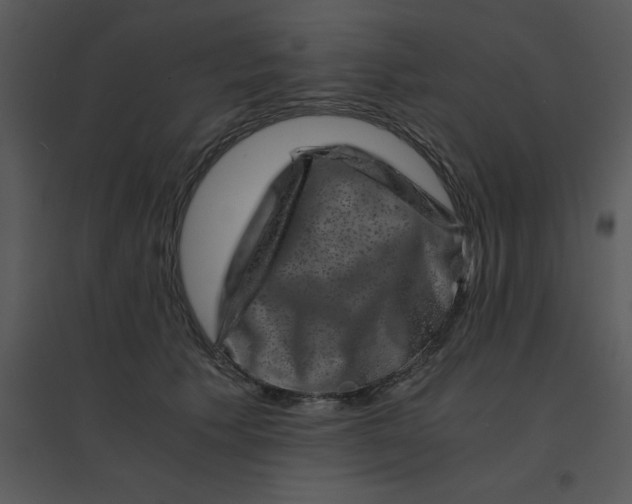 X0000095540609200801041310