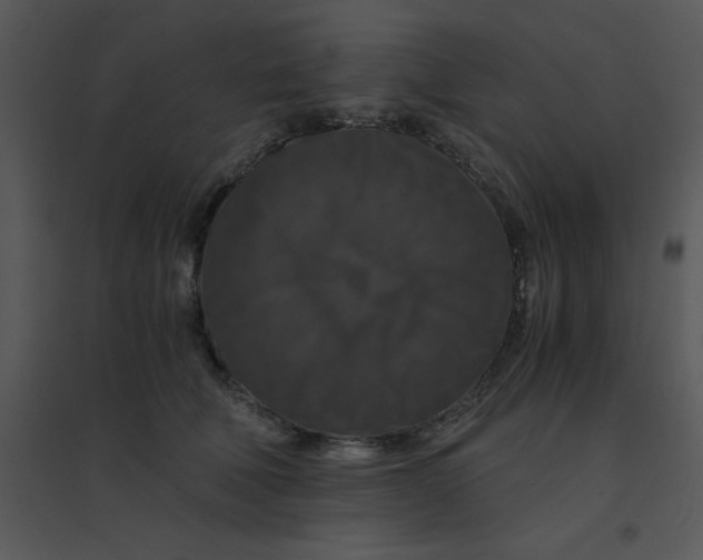 X0000095540610200801041310