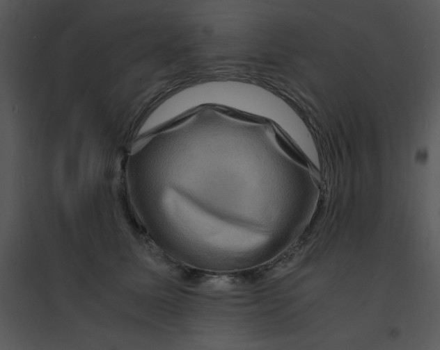 X0000095540611200801041310