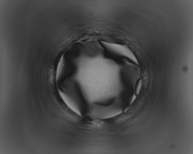 X0000095540612200801041310