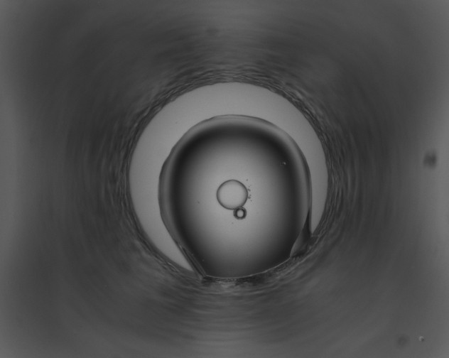 X0000095540613200801041310