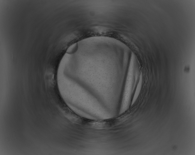 X0000095540615200801041310