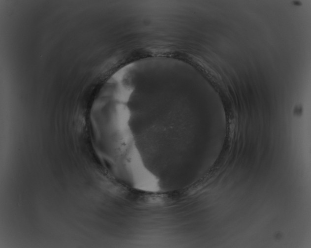 X0000095540618200801041310