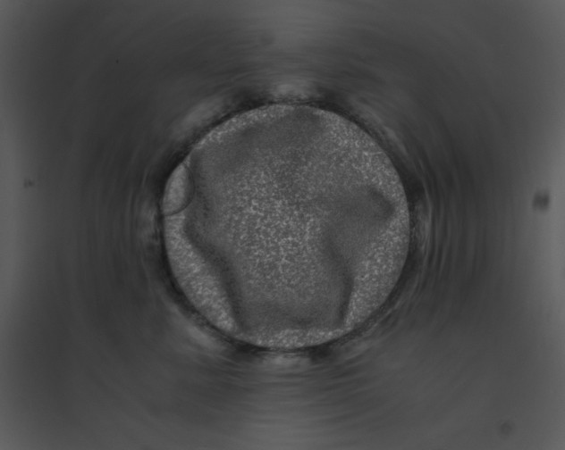 X0000095540619200801041310