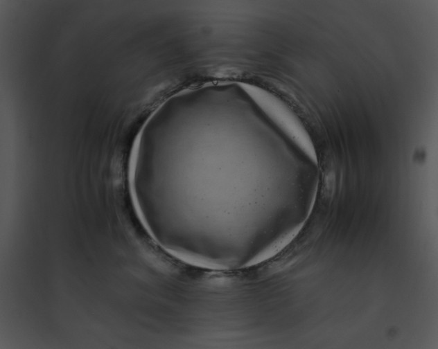 X0000095540620200801041310