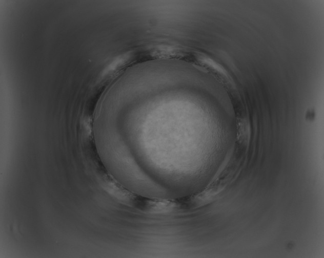 X0000095540621200801041310