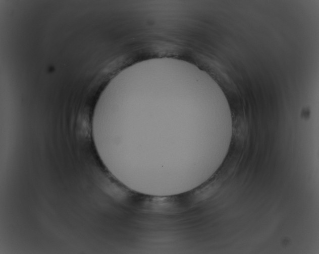 X0000095540622200801041310