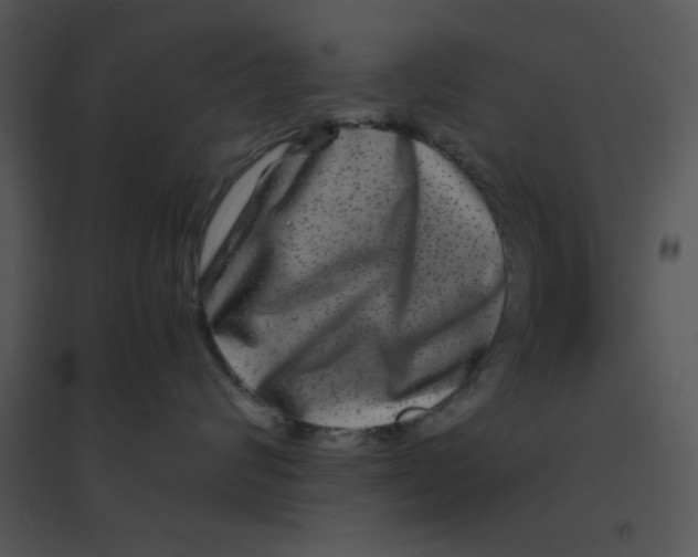 X0000095540624200801041310