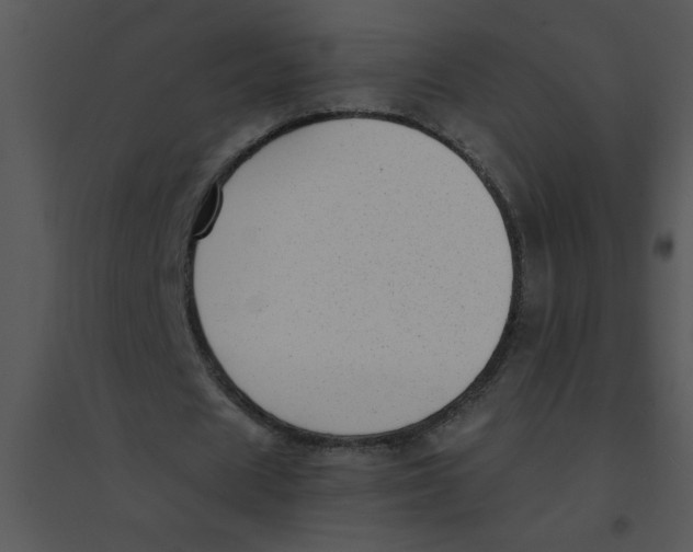 X0000095540625200801041310