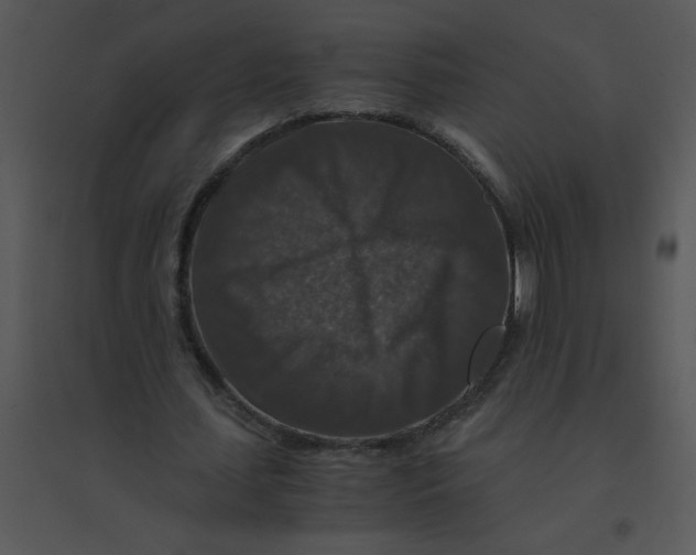 X0000095540627200801041310