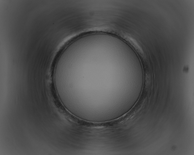 X0000095540628200801041310