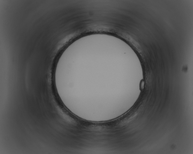 X0000095540629200801041310