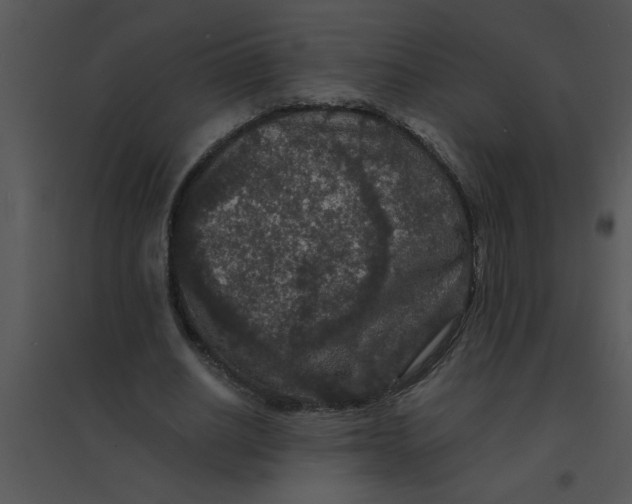 X0000095540630200801041310