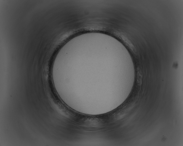 X0000095540631200801041310