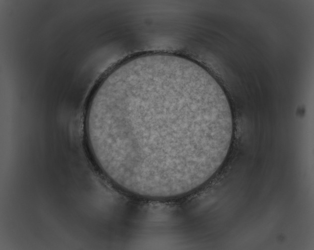 X0000095540632200801041310