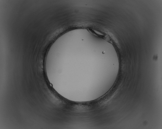 X0000095540633200801041310