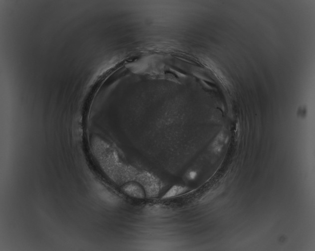 X0000095540634200801041310