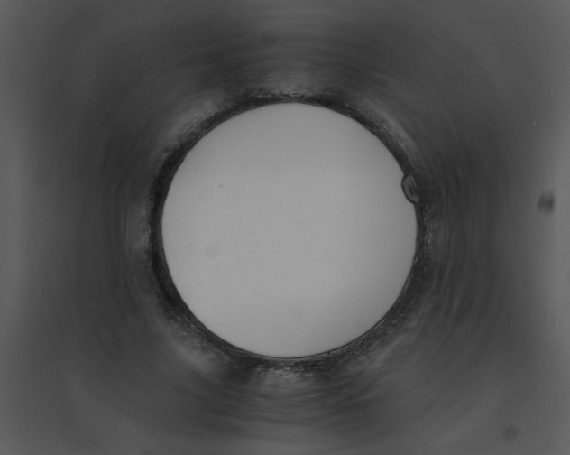 X0000095540635200801041310