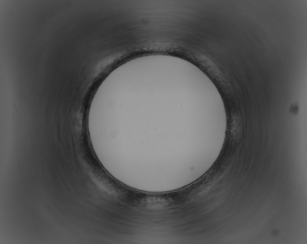 X0000095540636200801041310