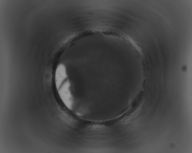 X0000095540637200801041310