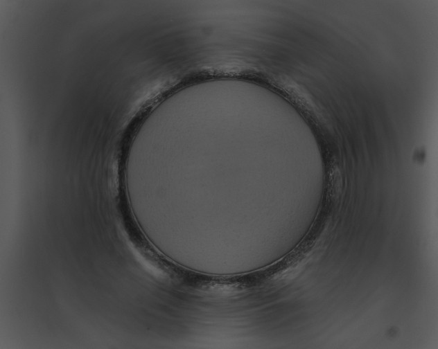 X0000095540638200801041310