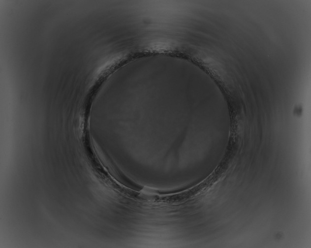 X0000095540640200801041310