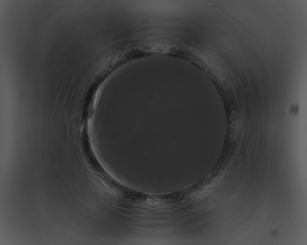 X0000095540641200801041310