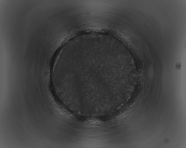 X0000095540642200801041310