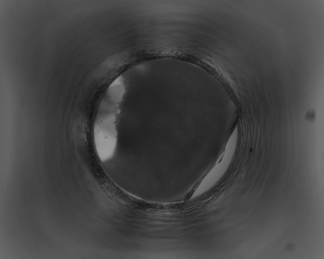 X0000095540643200801041310