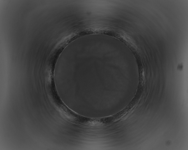 X0000095540644200801041310