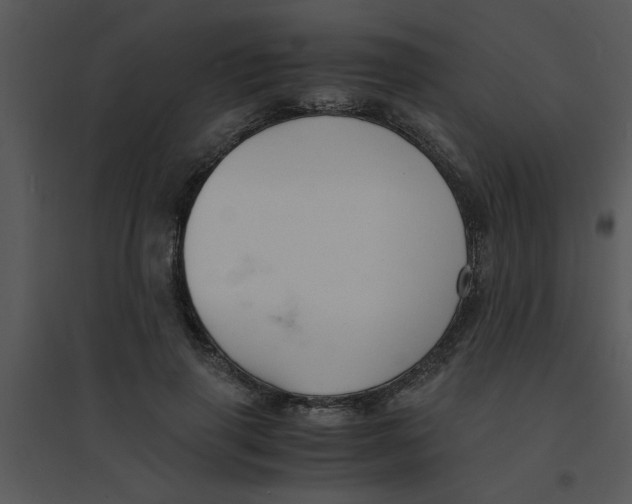 X0000095540645200801041310