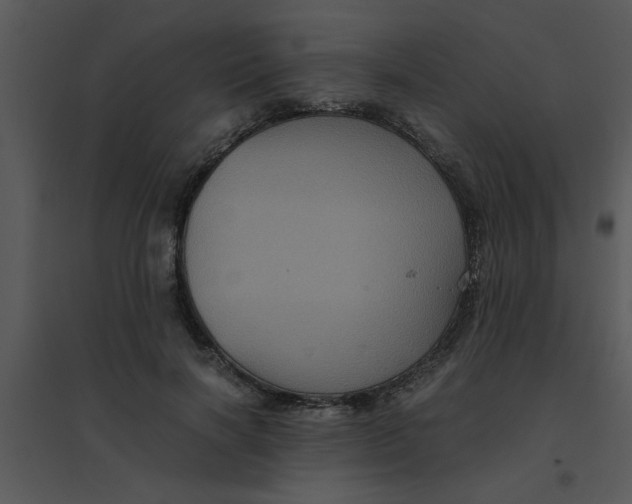 X0000095540646200801041310