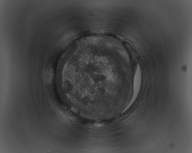 X0000095540647200801041310