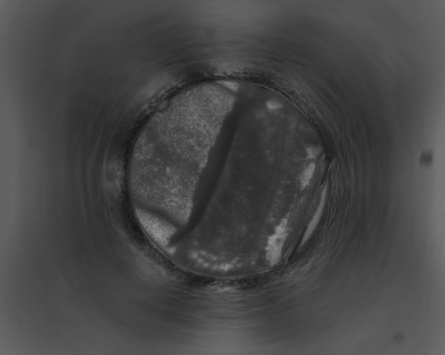 X0000095540648200801041310