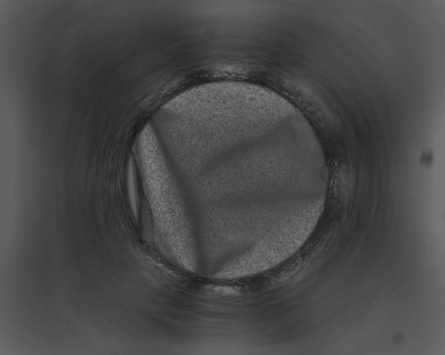 X0000095540649200801041310