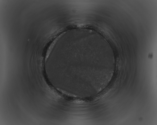 X0000095540650200801041310