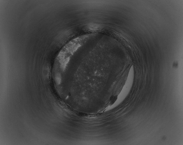 X0000095540651200801041310