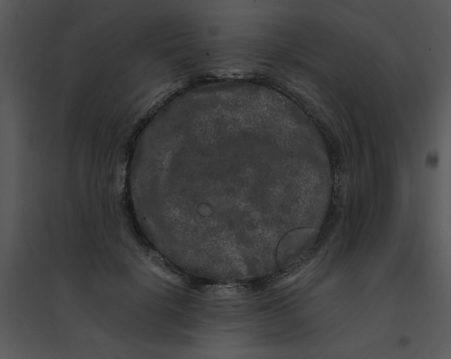 X0000095540652200801041310