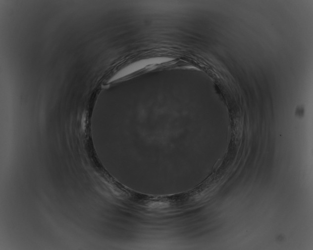 X0000095540653200801041310