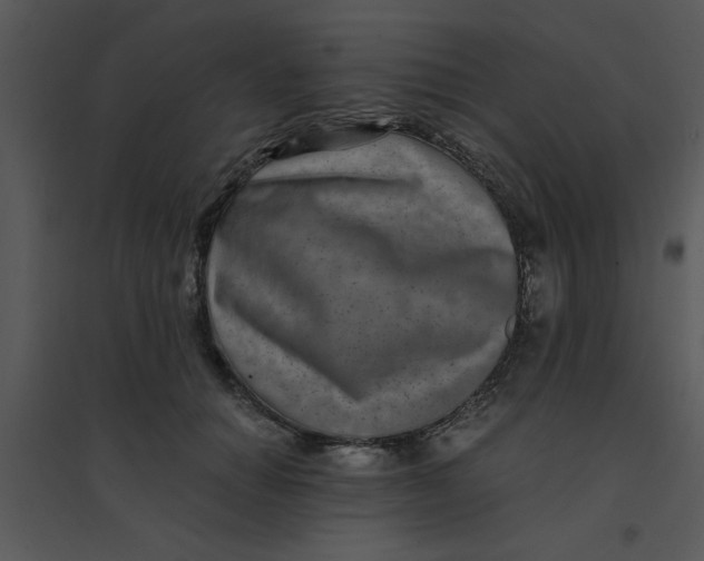 X0000095540654200801041310