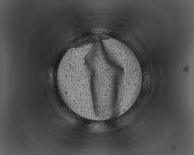 X0000095540655200801041310