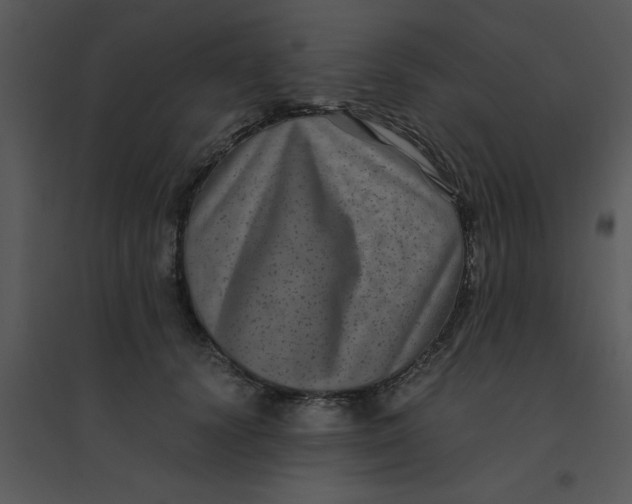 X0000095540656200801041310