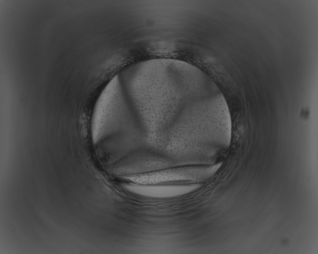 X0000095540658200801041310