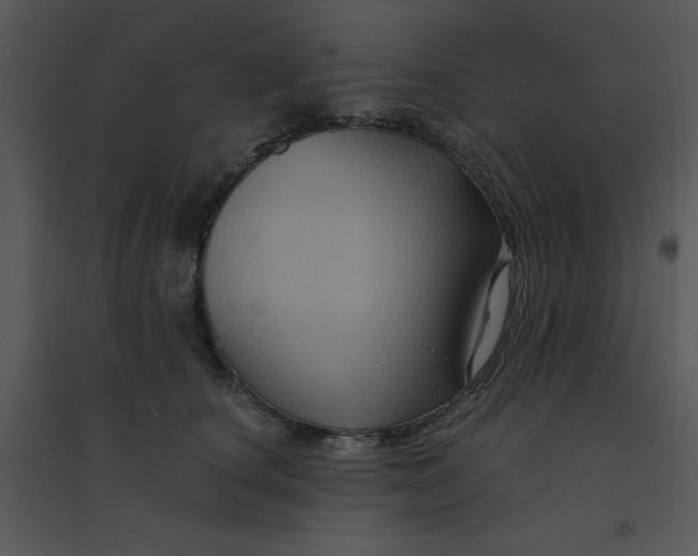 X0000095540660200801041310