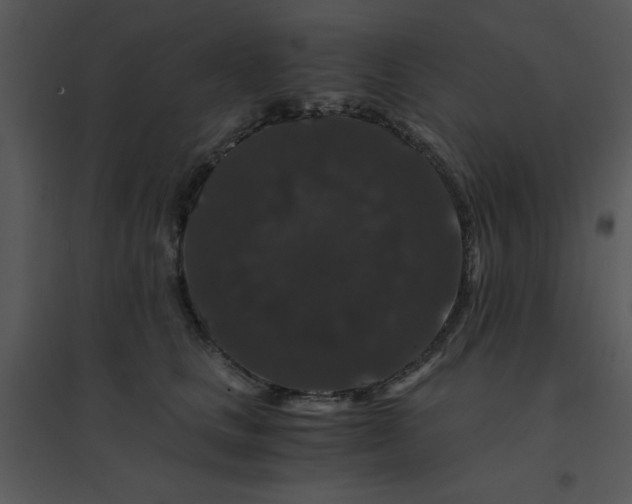 X0000095540661200801041310