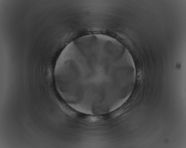 X0000095540662200801041310