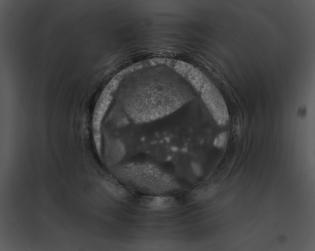 X0000095540663200801041310