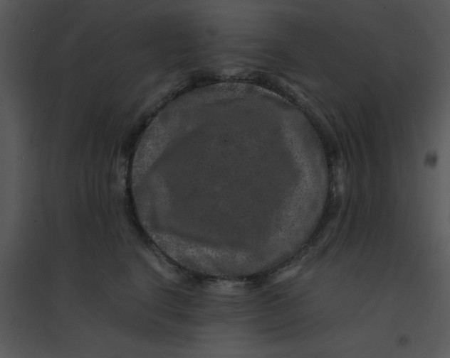 X0000095540664200801041310